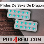Dragon Sex Pills 29